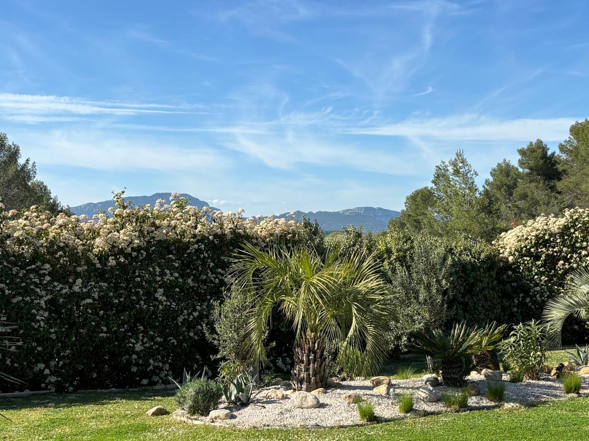 Joli Havre De Paix Vila Prades-le-Lez Exterior foto